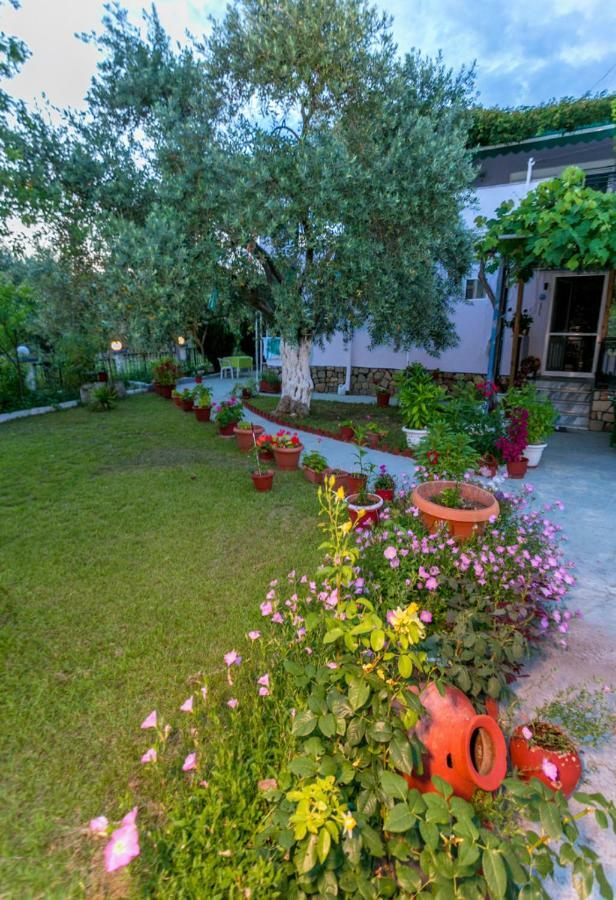 Studios Panagiotas House 阿斯特里斯 外观 照片
