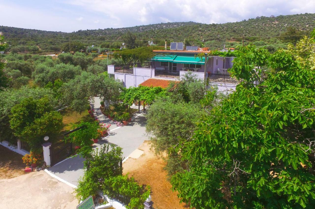 Studios Panagiotas House 阿斯特里斯 外观 照片